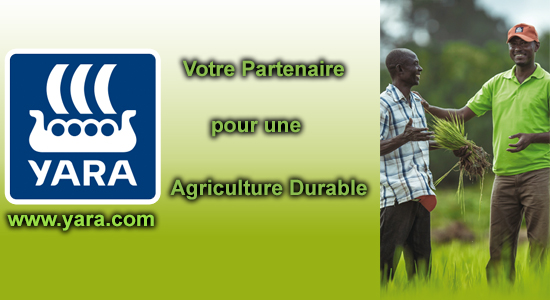 Pub milieu